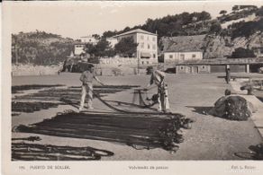 Postkarten: POSTAL DE PUERTO DE SOLLER - VOLVIENDO DE PESCAR FOT. ROISIN NUM.193